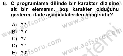 Bilgisayar Ve Programlamaya Giriş Dersi 2024 - 2025 Yılı (Final) Dönem Sonu Sınav Soruları 6. Soru