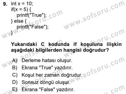 Bilgisayar Ve Programlamaya Giriş Dersi 2024 - 2025 Yılı (Final) Dönem Sonu Sınav Soruları 9. Soru