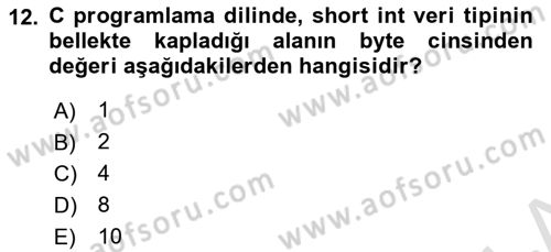 Bilgisayar Ve Programlamaya Giriş Dersi 2024 - 2025 Yılı Yaz Okulu Sınav Soruları 12. Soru