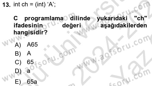 Bilgisayar Ve Programlamaya Giriş Dersi 2024 - 2025 Yılı Yaz Okulu Sınav Soruları 13. Soru