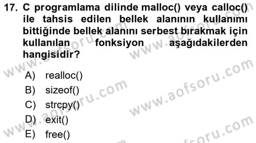 Bilgisayar Ve Programlamaya Giriş Dersi 2025 - 2026 Yılı (Final) Dönem Sonu Sınav Soruları 17. Soru