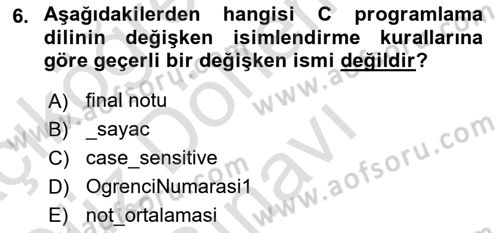 Bilgisayar Ve Programlamaya Giriş Dersi 2025 - 2026 Yılı (Final) Dönem Sonu Sınav Soruları 6. Soru