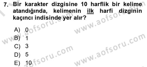Bilgisayar Ve Programlamaya Giriş Dersi 2025 - 2026 Yılı (Final) Dönem Sonu Sınav Soruları 7. Soru