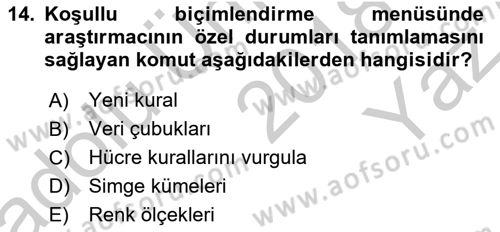 İşletme Analitiği Dersi 2018 - 2019 Yılı Yaz Okulu Sınav Soruları 14. Soru