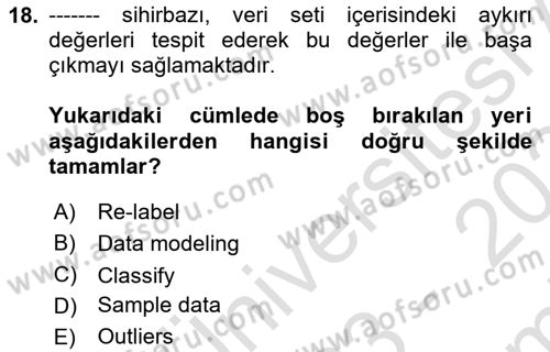 İşletme Analitiği Dersi 2023 - 2024 Yılı (Final) Dönem Sonu Sınav Soruları 18. Soru