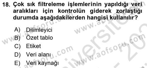 İşletme Analitiği Dersi 2024 - 2025 Yılı (Vize) Ara Sınav Soruları 18. Soru