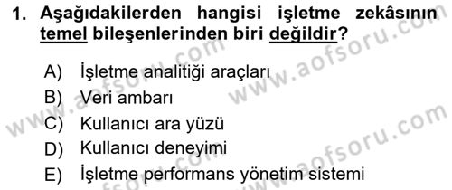 İşletme Analitiği Dersi 2024 - 2025 Yılı Yaz Okulu Sınav Soruları 1. Soru