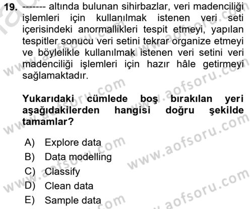 İşletme Analitiği Dersi 2024 - 2025 Yılı Yaz Okulu Sınav Soruları 19. Soru