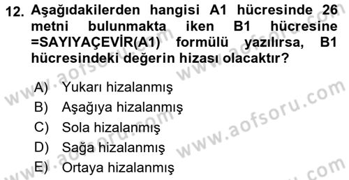 İşletme Analitiği Dersi 2025 - 2026 Yılı (Vize) Ara Sınav Soruları 12. Soru