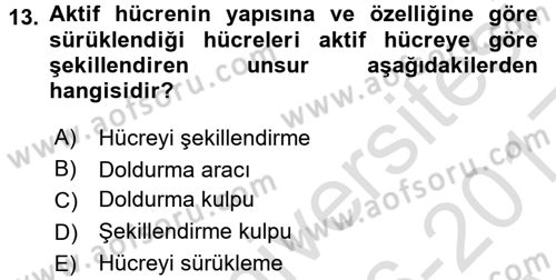 İşlem Tabloları Dersi Ara Sınavı Deneme Sınav Soruları 13. Soru