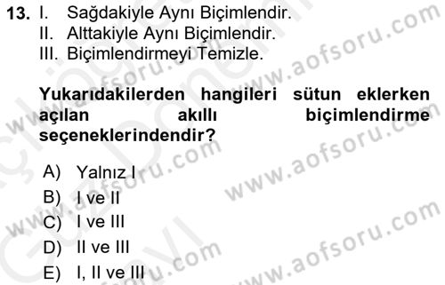 İşlem Tabloları Dersi Ara Sınavı Deneme Sınav Soruları 13. Soru