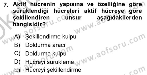 İşlem Tabloları Dersi 2018 - 2019 Yılı Yaz Okulu Sınav Soruları 7. Soru