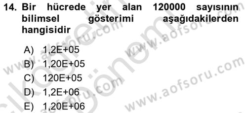 İşlem Tabloları Dersi Ara Sınavı Deneme Sınav Soruları 14. Soru
