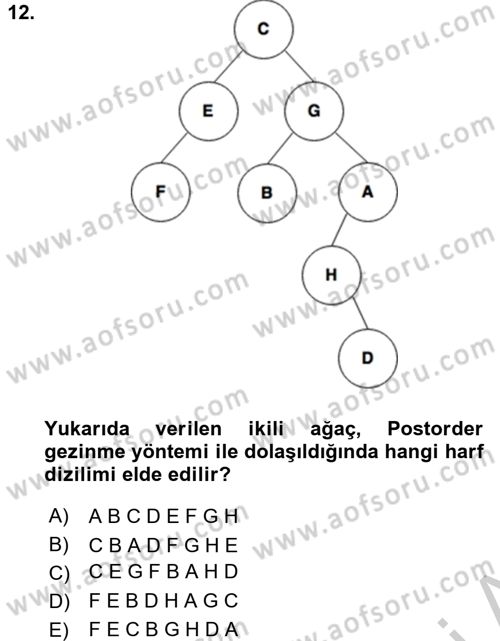 Algoritmalar Ve Programlama Dersi 2016 - 2017 Yılı (Vize) Ara Sınav Soruları 12. Soru