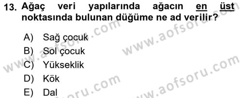 Algoritmalar Ve Programlama Dersi 2016 - 2017 Yılı (Vize) Ara Sınav Soruları 13. Soru