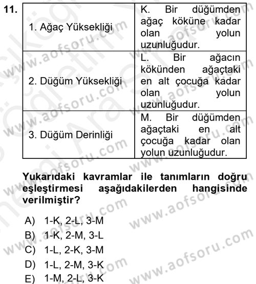 Algoritmalar Ve Programlama Dersi 2017 - 2018 Yılı (Vize) Ara Sınav Soruları 11. Soru