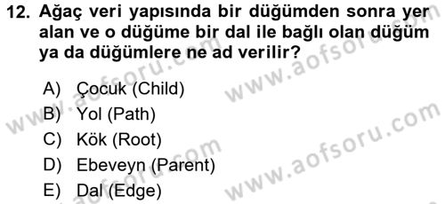 Algoritmalar Ve Programlama Dersi 2017 - 2018 Yılı (Vize) Ara Sınav Soruları 12. Soru