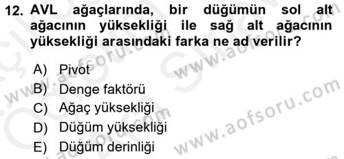 Algoritmalar Ve Programlama Dersi 2018 - 2019 Yılı (Vize) Ara Sınav Soruları 12. Soru