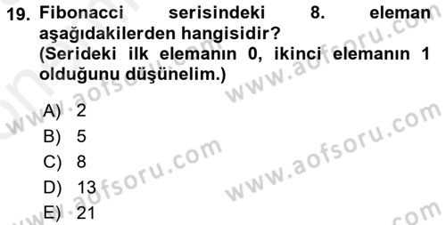 Algoritmalar Ve Programlama Dersi 2018 - 2019 Yılı (Vize) Ara Sınav Soruları 19. Soru