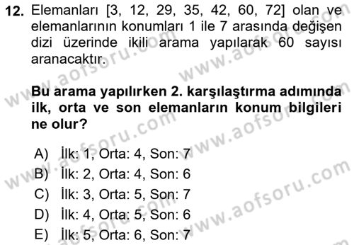 Algoritmalar Ve Programlama Dersi 2018 - 2019 Yılı (Final) Dönem Sonu Sınav Soruları 12. Soru