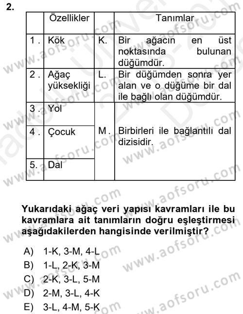 Algoritmalar Ve Programlama Dersi 2018 - 2019 Yılı (Final) Dönem Sonu Sınav Soruları 2. Soru