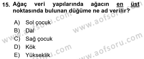 Algoritmalar Ve Programlama Dersi 2021 - 2022 Yılı (Vize) Ara Sınav Soruları 15. Soru