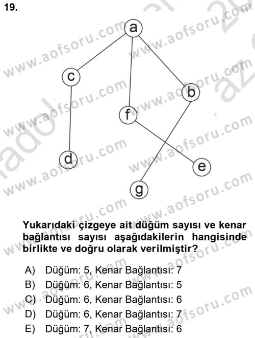 Algoritmalar Ve Programlama Dersi 2022 - 2023 Yılı Yaz Okulu Sınav Soruları 19. Soru