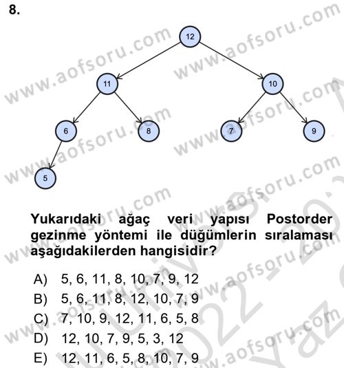 Algoritmalar Ve Programlama Dersi 2022 - 2023 Yılı Yaz Okulu Sınav Soruları 8. Soru