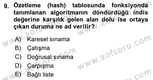 Algoritmalar Ve Programlama Dersi 2023 - 2024 Yılı Yaz Okulu Sınav Soruları 9. Soru