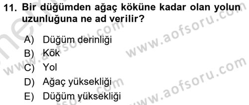 Algoritmalar Ve Programlama Dersi 2024 - 2025 Yılı (Vize) Ara Sınav Soruları 11. Soru