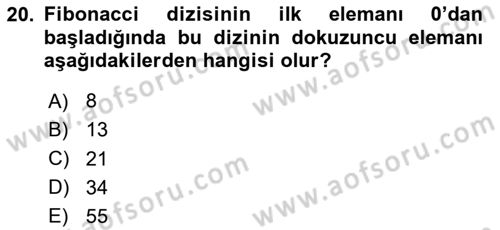 Algoritmalar Ve Programlama Dersi 2024 - 2025 Yılı (Vize) Ara Sınav Soruları 20. Soru