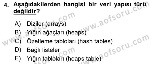 Algoritmalar Ve Programlama Dersi 2024 - 2025 Yılı (Vize) Ara Sınav Soruları 4. Soru