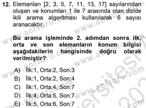 Algoritmalar Ve Programlama Dersi 2024 - 2025 Yılı (Final) Dönem Sonu Sınav Soruları 12. Soru