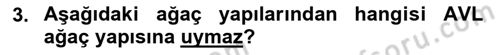 Algoritmalar Ve Programlama Dersi 2024 - 2025 Yılı (Final) Dönem Sonu Sınav Soruları 3. Soru