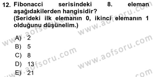 Algoritmalar Ve Programlama Dersi 2024 - 2025 Yılı Yaz Okulu Sınav Soruları 12. Soru