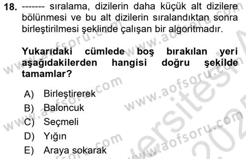 Algoritmalar Ve Programlama Dersi 2024 - 2025 Yılı Yaz Okulu Sınav Soruları 18. Soru