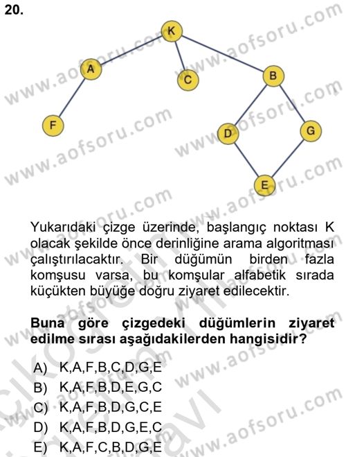 Algoritmalar Ve Programlama Dersi 2024 - 2025 Yılı Yaz Okulu Sınav Soruları 20. Soru