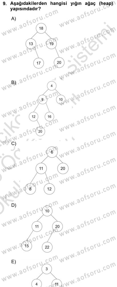 Algoritmalar Ve Programlama Dersi 2024 - 2025 Yılı Yaz Okulu Sınav Soruları 9. Soru