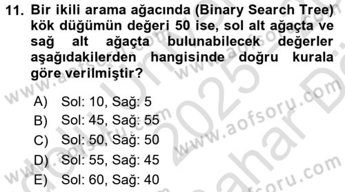 Algoritmalar Ve Programlama Dersi 2025 - 2026 Yılı (Vize) Ara Sınav Soruları 11. Soru