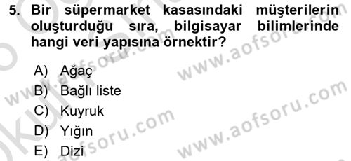 Algoritmalar Ve Programlama Dersi 2025 - 2026 Yılı Yaz Okulu Sınav Soruları 5. Soru