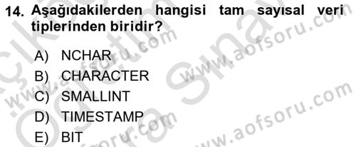 Veritabanı Sistemleri Dersi 2023 - 2024 Yılı (Vize) Ara Sınav Soruları 14. Soru