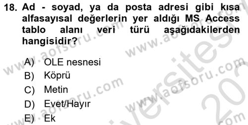 Veritabanı Sistemleri Dersi 2024 - 2025 Yılı (Vize) Ara Sınav Soruları 18. Soru