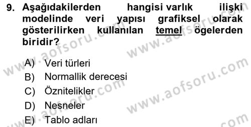 Veritabanı Sistemleri Dersi 2024 - 2025 Yılı (Vize) Ara Sınav Soruları 9. Soru