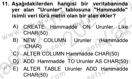 Veritabanı Sistemleri Dersi 2024 - 2025 Yılı Yaz Okulu Sınav Soruları 11. Soru