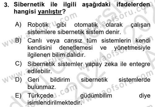 Bilişim Sistemleri Dersi Ara Sınavı Deneme Sınav Soruları 3. Soru