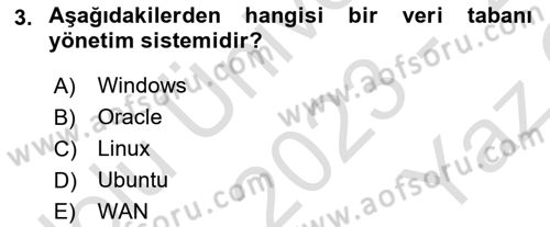Bilişim Sistemleri Dersi 2023 - 2024 Yılı Yaz Okulu Sınav Soruları 3. Soru