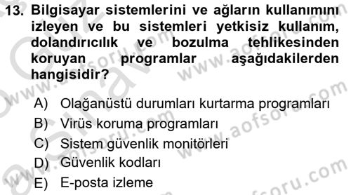 Bilişim Sistemleri Dersi 2024 - 2025 Yılı (Vize) Ara Sınavı 13. Soru