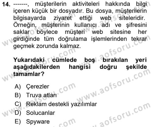 Bilişim Sistemleri Dersi 2024 - 2025 Yılı (Vize) Ara Sınavı 14. Soru