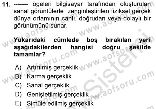 Bilişim Sistemleri Dersi 2024 - 2025 Yılı (Final) Dönem Sonu Sınav Soruları 11. Soru