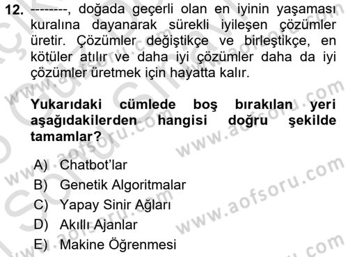 Bilişim Sistemleri Dersi 2024 - 2025 Yılı (Final) Dönem Sonu Sınav Soruları 12. Soru